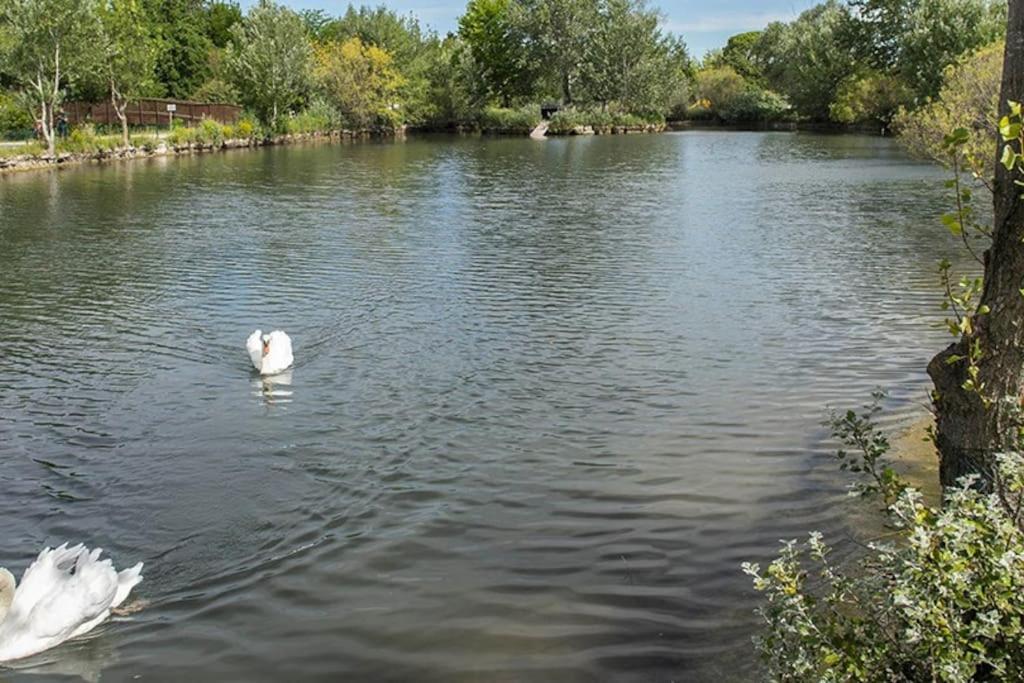 La Provencale Διαμέρισμα Saint-Saturnin-lès-Avignon Εξωτερικό φωτογραφία